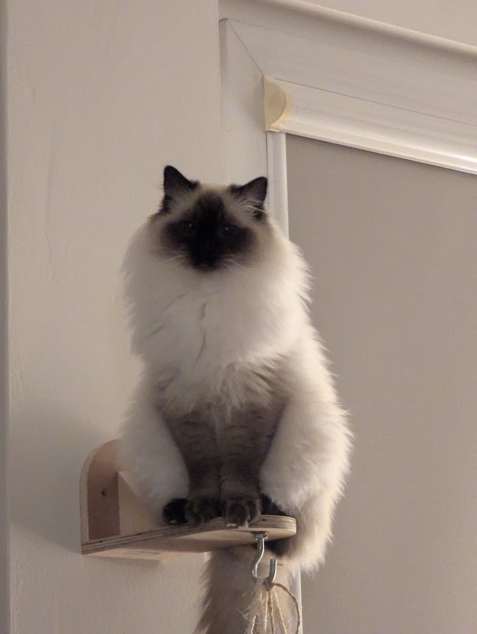 Mika